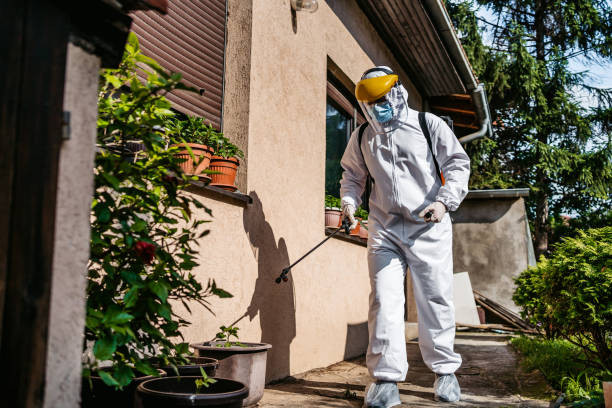 Best Flea Control Services  in Phoenix, IL