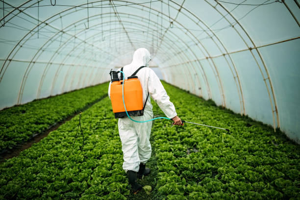 Professional Pest Control in Phoenix, IL