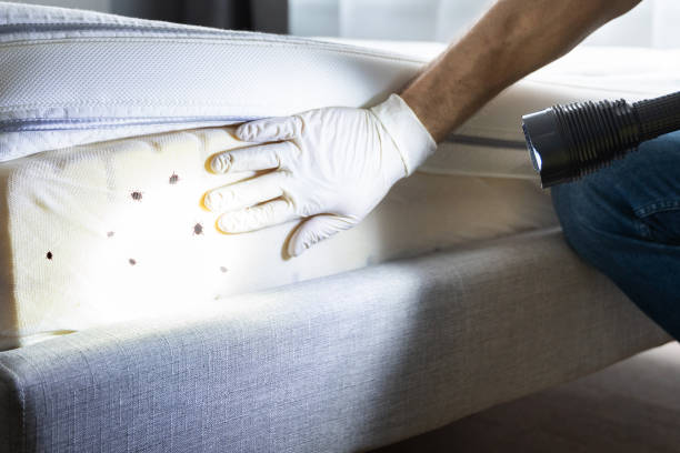 Phoenix, IL Pest Control Company