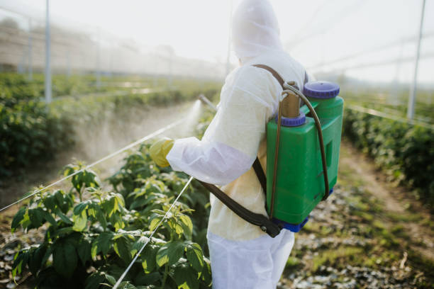 Best Pest Control Treatment  in Phoenix, IL